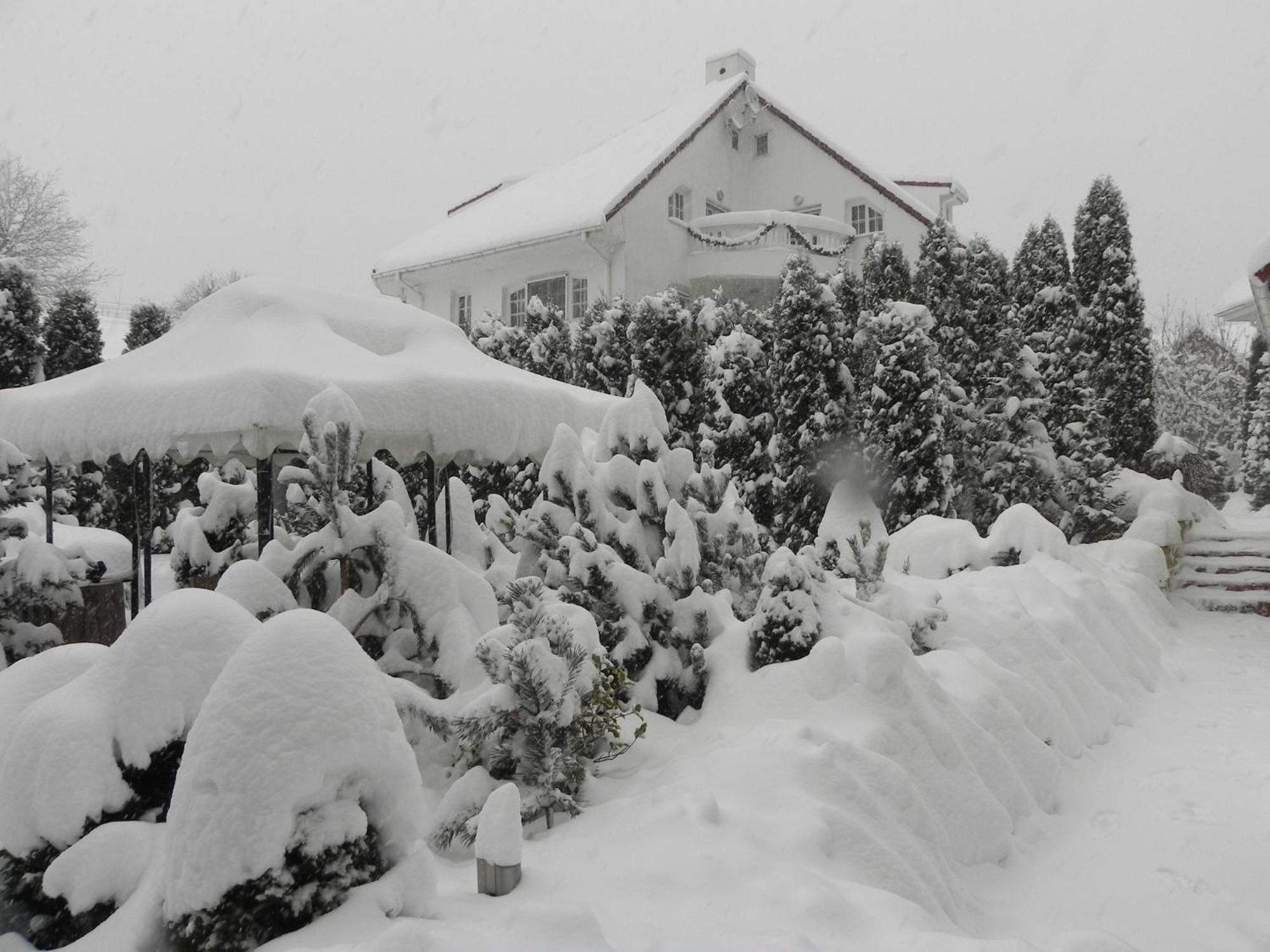 Boutique Hotel Forest Retreat (Adults Only) 부스테니 외부 사진