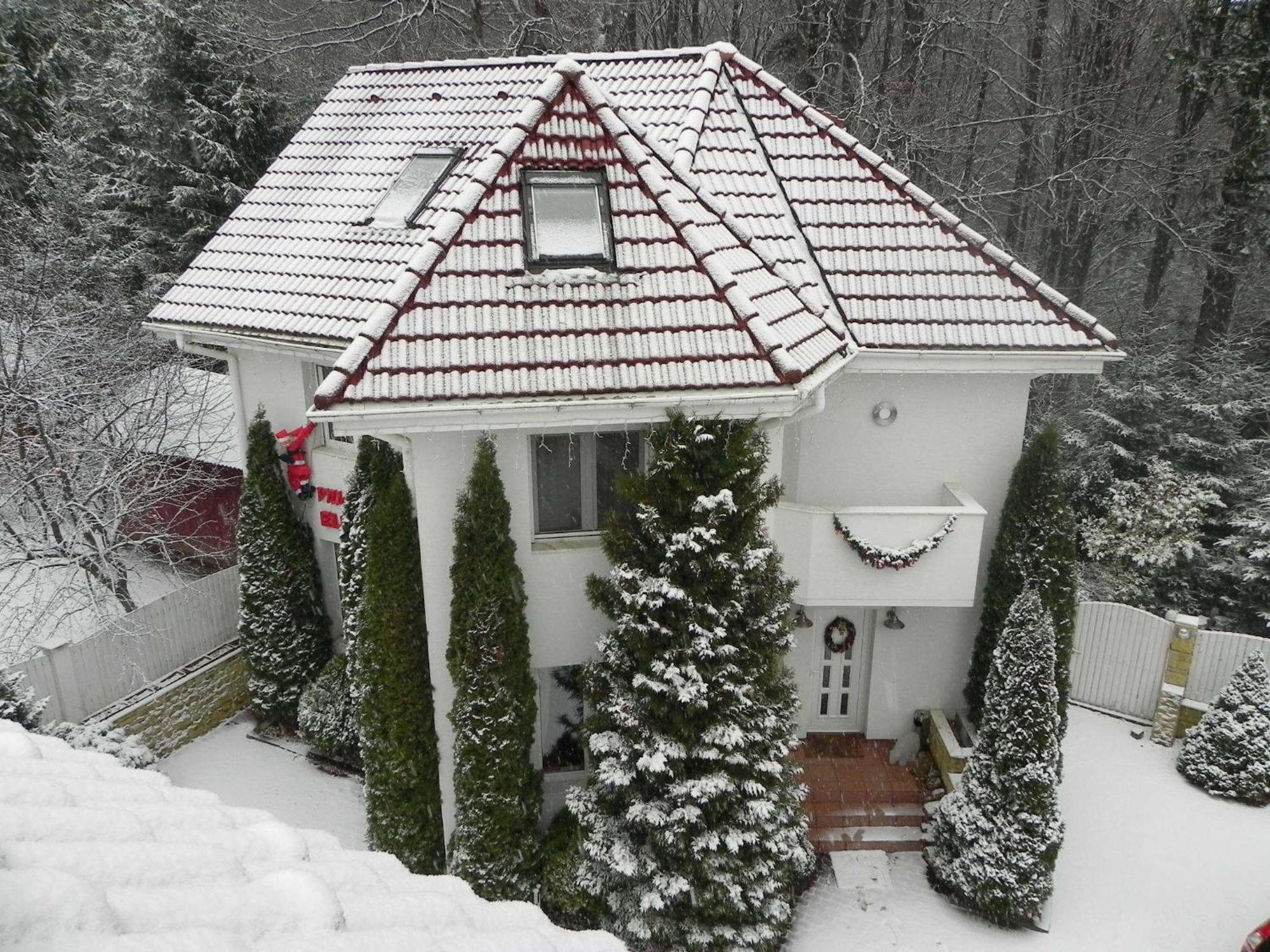 Boutique Hotel Forest Retreat (Adults Only) 부스테니 외부 사진