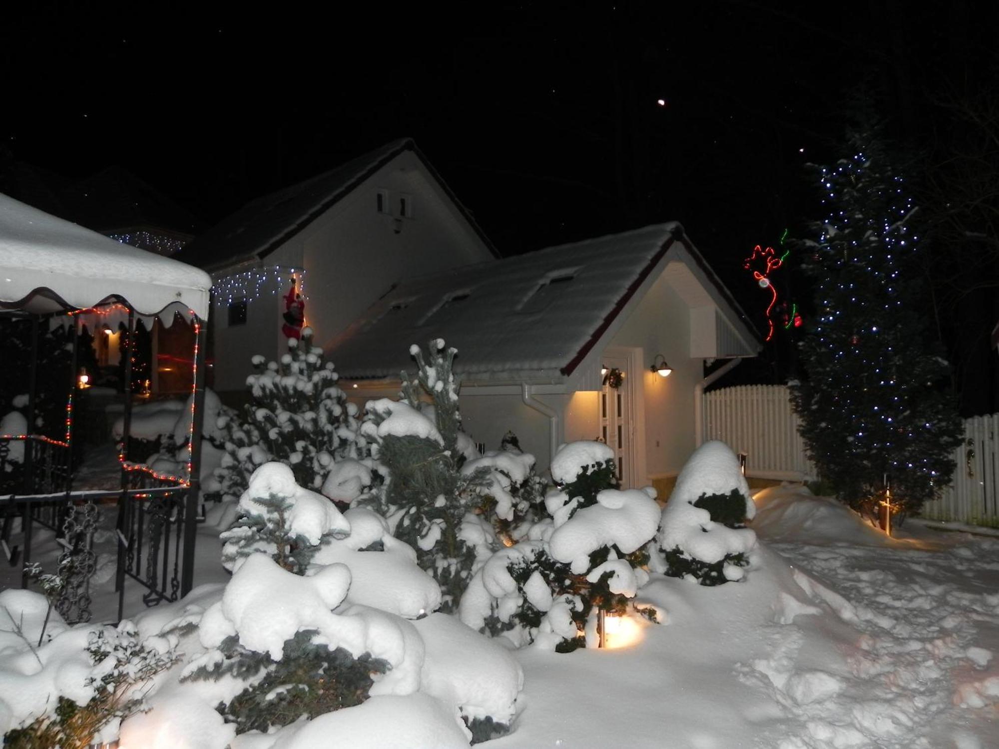 Boutique Hotel Forest Retreat (Adults Only) 부스테니 외부 사진