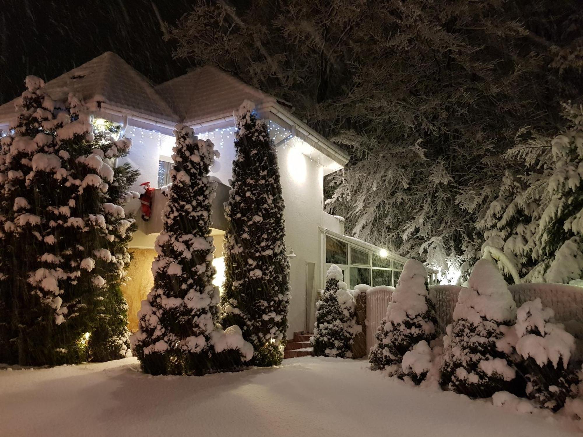 Boutique Hotel Forest Retreat (Adults Only) 부스테니 외부 사진