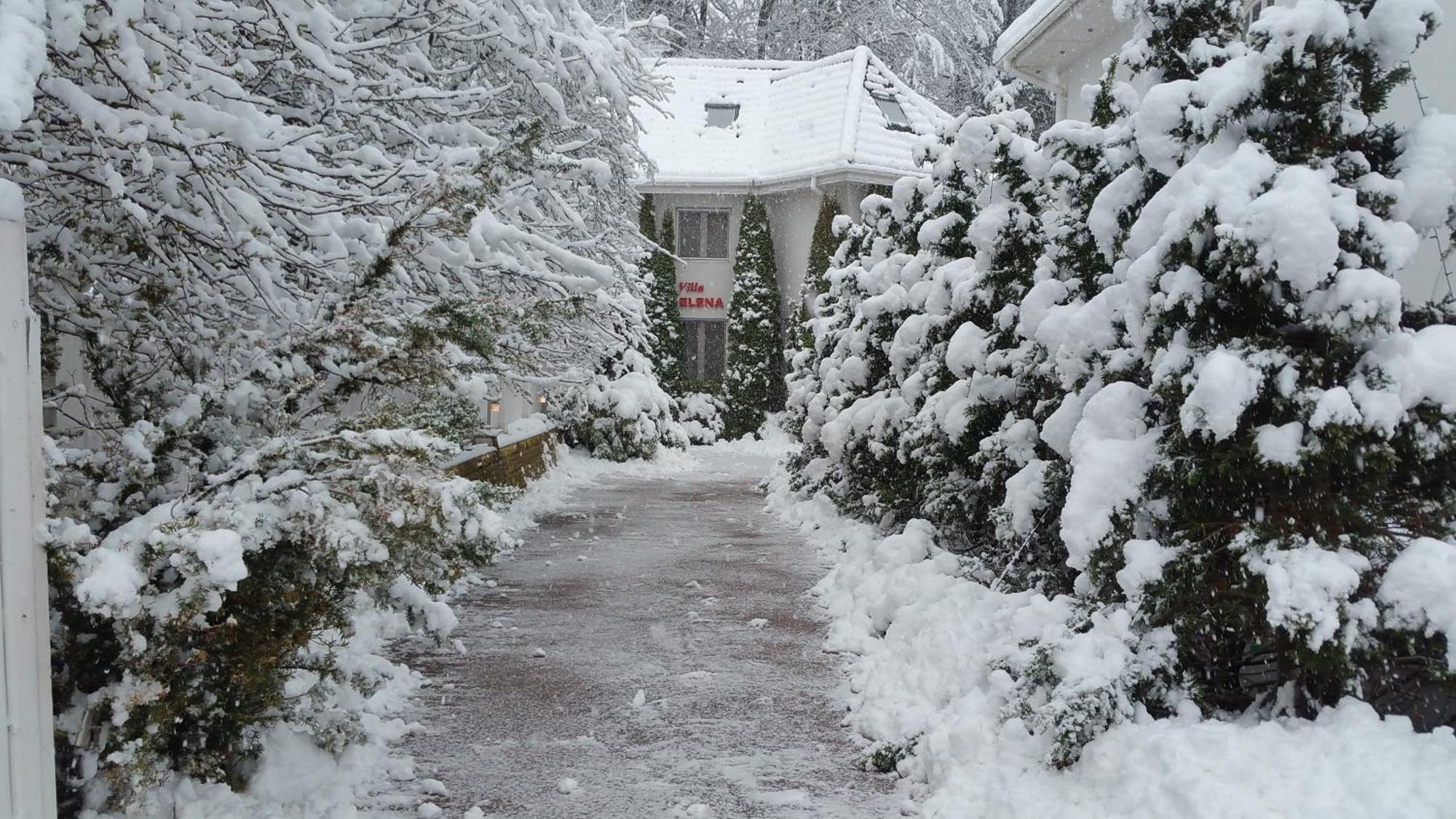 Boutique Hotel Forest Retreat (Adults Only) 부스테니 외부 사진