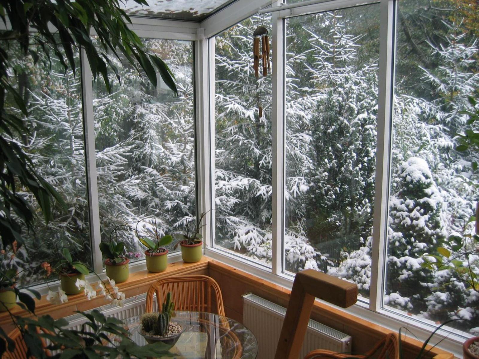 Boutique Hotel Forest Retreat (Adults Only) 부스테니 외부 사진