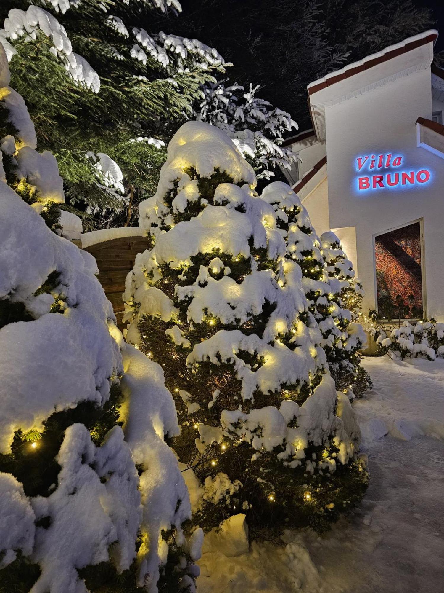 Boutique Hotel Forest Retreat (Adults Only) 부스테니 외부 사진