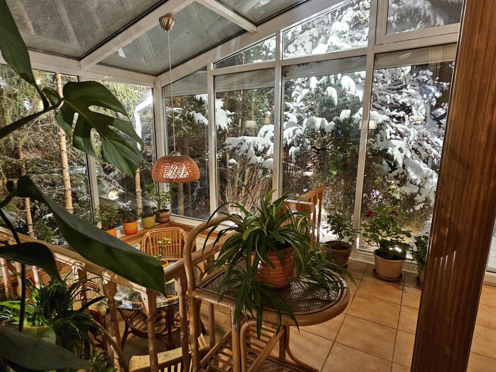 Boutique Hotel Forest Retreat (Adults Only) 부스테니 외부 사진
